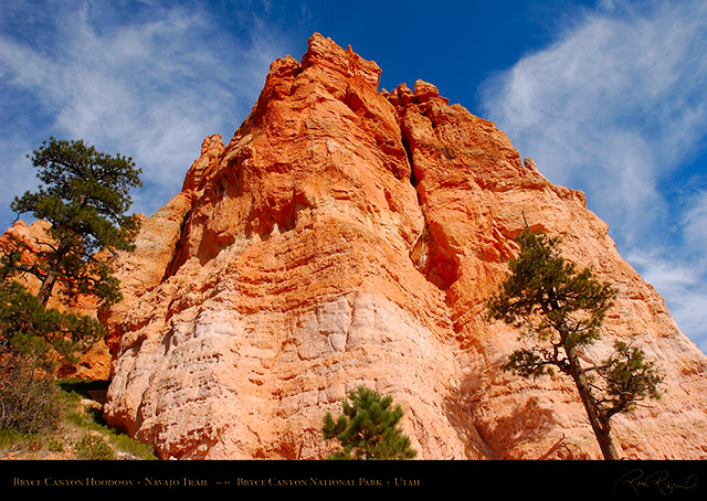 Bryce_Canyon_Hoodoos_Navajo_Trail_1893