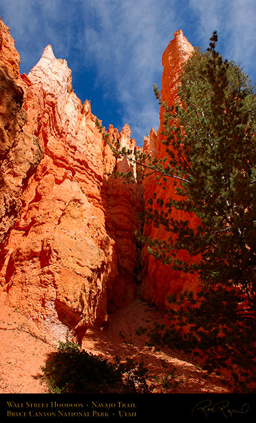 Bryce_Canyon_Hoodoos_Wall_Street_1917