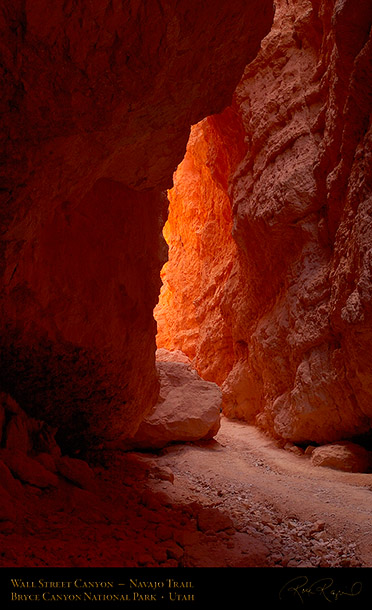 Bryce_Canyon_Wall_Street_Canyon_6768