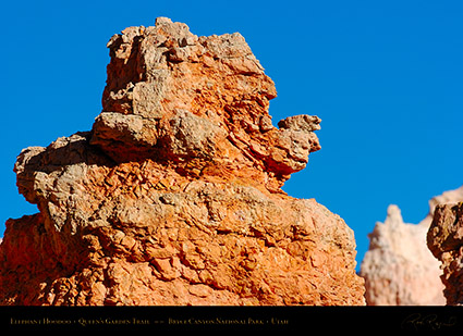 Bryce_Canyon_Elephant_Queens_Garden_5372