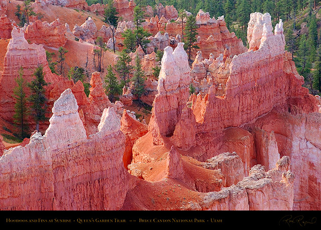 Bryce_Canyon_Hoodoos_Queens_Garden_5575