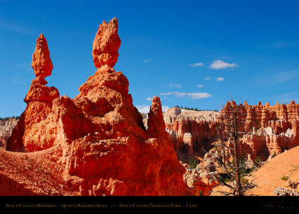 Bryce_Canyon_Hoodoos_Queens_Garden_6709