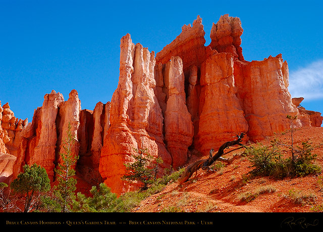 Bryce_Canyon_Hoodoos_Queens_Garden_6726