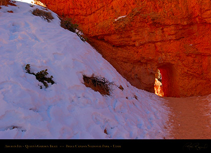 Bryce_Canyon_Queens_Garden_Arch_5331