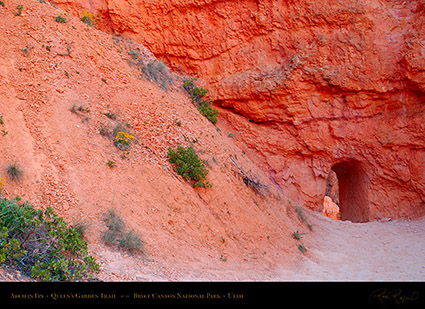 Bryce_Canyon_Queens_Garden_Arch_X1979