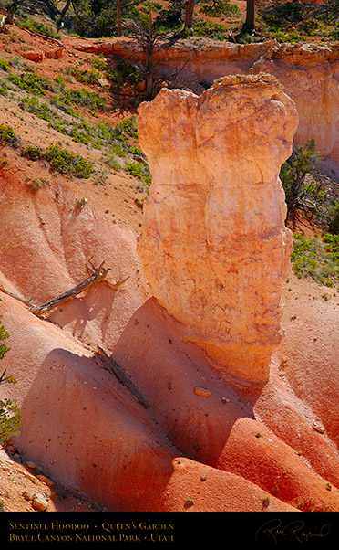 Bryce_Canyon_Queens_Garden_Sentinel_X2076