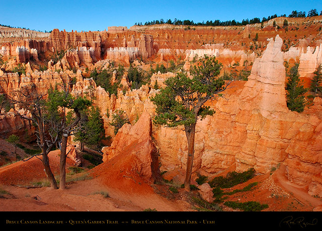 Bryce_Canyon_Queens_Garden_Trail_5589