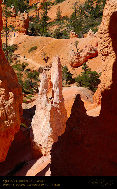 Bryce_Canyon_Queens_Garden_Trail_X2079