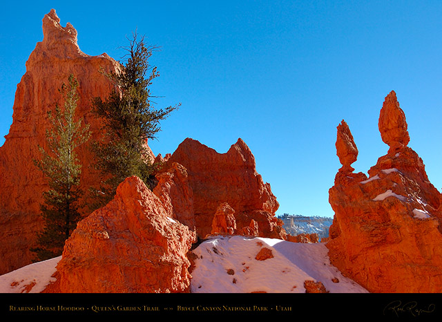 Bryce_Canyon_Rearing_Horse_Queens_Garden_5380