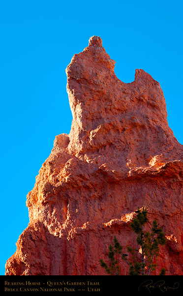 Bryce_Canyon_Rearing_Horse_Queens_Garden_X1980