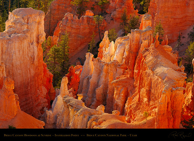 Bryce_Canyon_Hoodoos_at_Sunrise_X1795