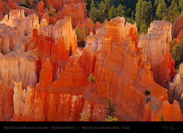 Bryce_Canyon_Hoodoos_at_Sunrise_X1798