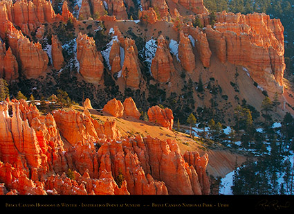Bryce_Canyon_Hoodoos_at_Sunrise_in_Winter_5490