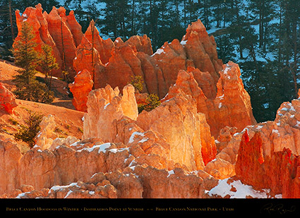Bryce_Canyon_Hoodoos_at_Sunrise_in_Winter_5512