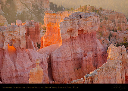Bryce_Canyon_Iridescent_Fin_at_Sunrise_0474