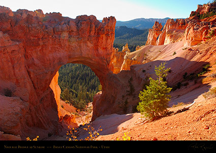 Bryce_Canyon_Natural_Bridge_at_Sunrise_0509