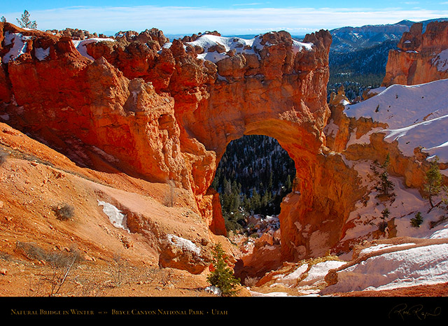 Bryce_Canyon_Natural_Bridge_in_Winter_5292