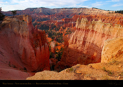 Bryce_Canyon_Wall_Street_Rim_View_1800
