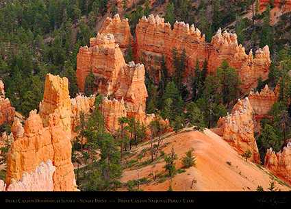 Bryce_Canyon_Hoodoos_Sunset_Point_at_Sunset_6528