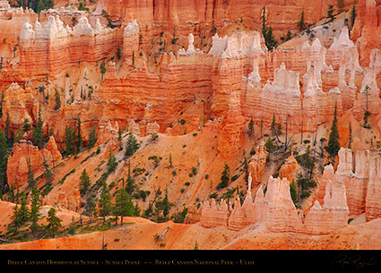 Bryce_Canyon_Hoodoos_Sunset_Point_at_Sunset_6531