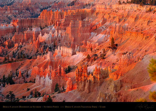 Bryce_Canyon_Hoodoos_at_Sunrise_Point_0459