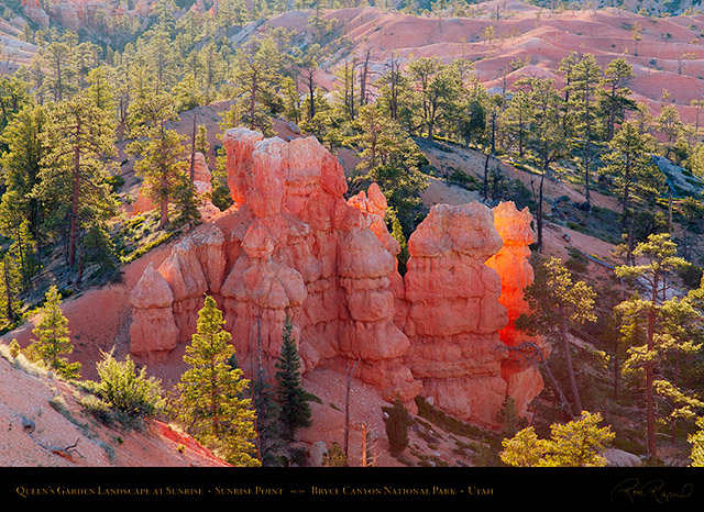 Bryce_Canyon_Landscape_Queens_Garden_X1963
