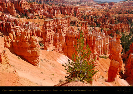 Bryce_Canyon_Landscape_Sunset_Point_1942