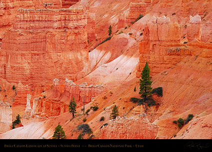 Bryce_Canyon_Landscape_Sunset_Point_at_Sunset_6523