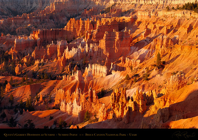 Bryce_Canyon_Queens_Garden_Hoodoos_at_Sunrise_0479