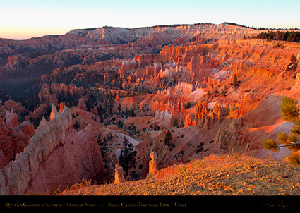 Bryce_Canyon_Sunrise_Point_at_Sunrise_0461