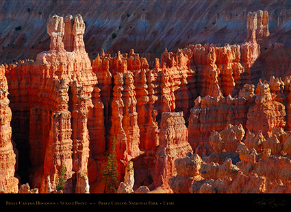 Bryce_Canyon_Hoodoos_Sunset_Point_X1880