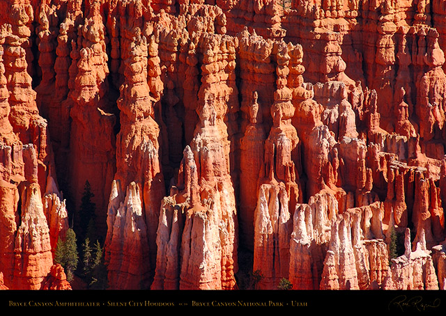 Bryce_Canyon_Amphitheater_Silent_City_Hoodoos_0679