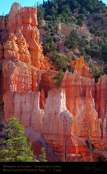 Bryce_Canyon_Fairyland_Hoodoos_at_Sunrise_X1833