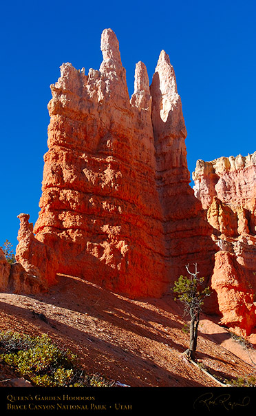 Bryce_Canyon_Hoodoos_Queens_Garden_5361