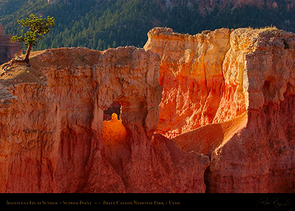 Bryce_Canyon_Iridescent_Fin_at_Sunrise_5564