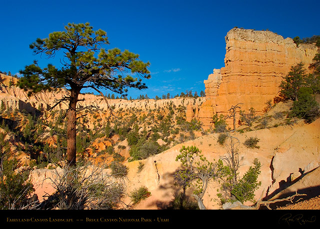 Bryce_Canyon_Fairyland_Canyon_Landscape_6643
