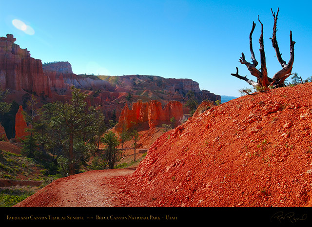 Bryce_Canyon_Fairyland_Trail_at_Sunrise_X1819
