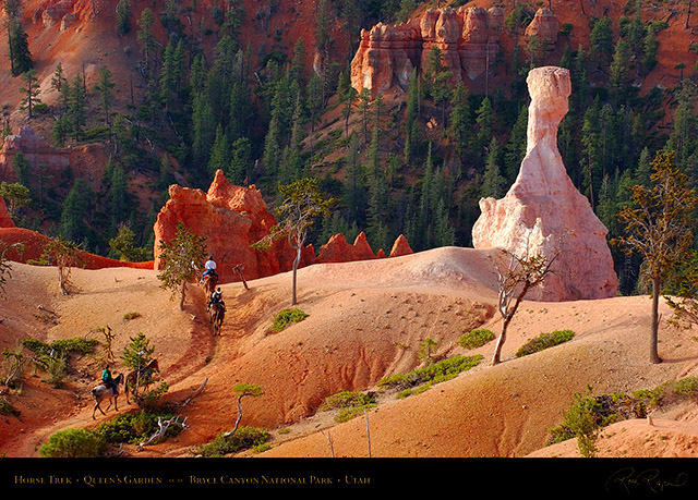 Bryce_Canyon_Queens_Garden_Horse_Trek_5586