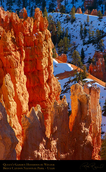 Bryce_Canyon_Hoodoos_Queens_Garden_5422