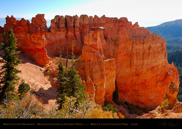 Bryce_Canyon_Hoodoos_Rainbow_Point_0573