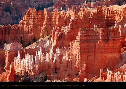 Bryce_Canyon_Hoodoos_Sunrise_Point_1788