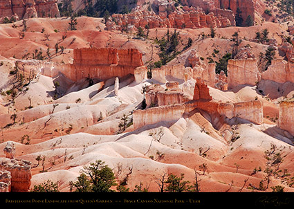 Bryce_Canyon_Landscape_Bristlecone_Point_1992