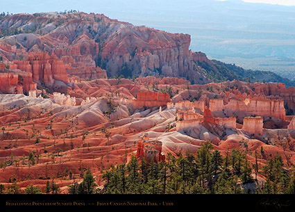 Bryce_Canyon_Landscape_Bristlecone_Point_6659