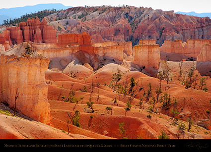 Bryce_Canyon_Landscape_Bristlecone_Point_6688