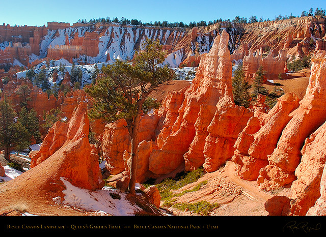 Bryce_Canyon_Landscape_Queens_Garden_5322