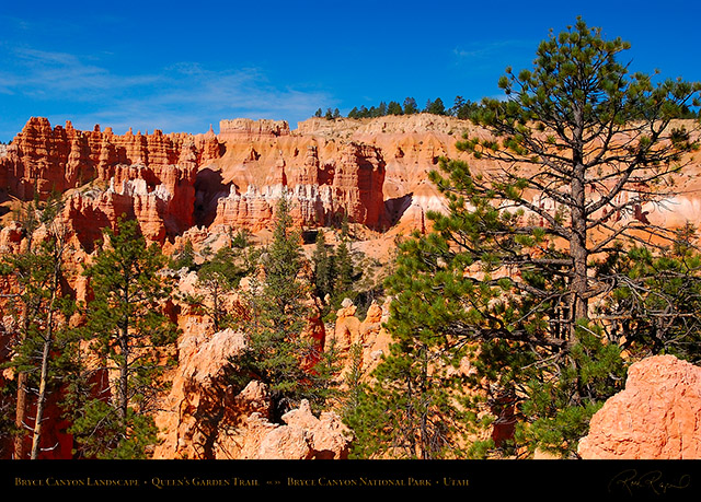 Bryce_Canyon_Landscape_Queens_Garden_6699