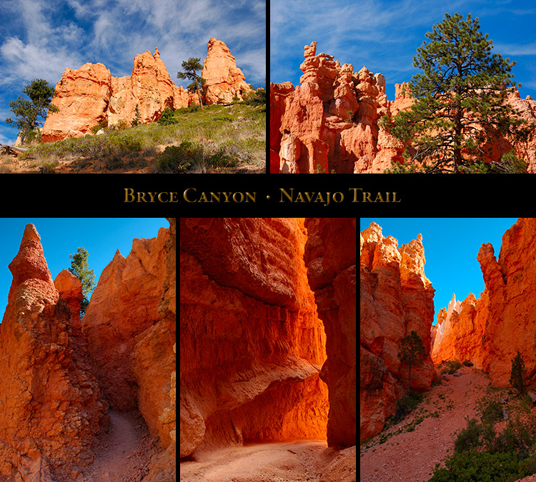 NavajoTrail