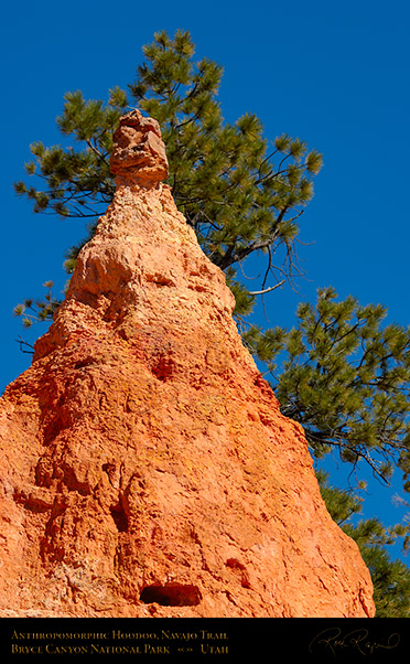 Bryce_Canyon_Hoodoo_Navajo_Trail_X2062
