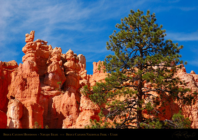 Bryce_Canyon_Hoodoos_Navajo_Trail_1904