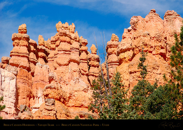 Bryce_Canyon_Hoodoos_Navajo_Trail_1905